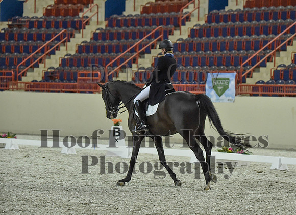 CWdressageI(8-20-16)1472