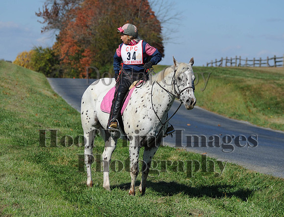 Cheshire(10-20-13)0425