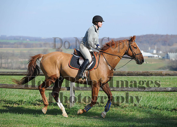 AndrewsBr(11-9-14)0027