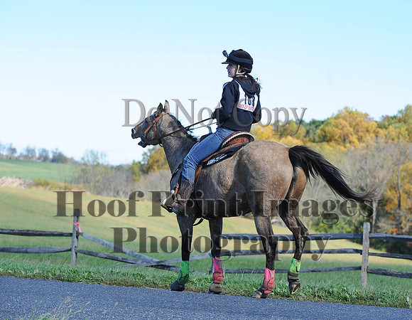 Cheshire(10-19-14)0051