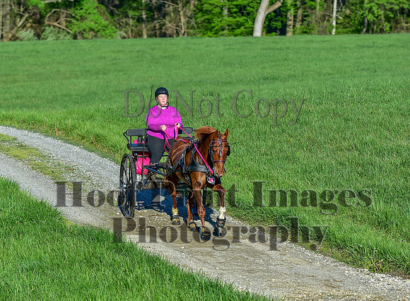 ChesapeakeSpring(4-27-25)0021