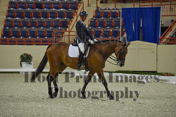CWdressageI(8-20-16)0477
