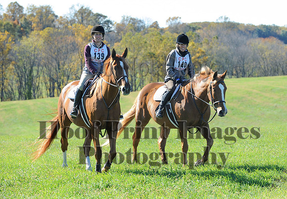 Cheshire(10-19-14)0457