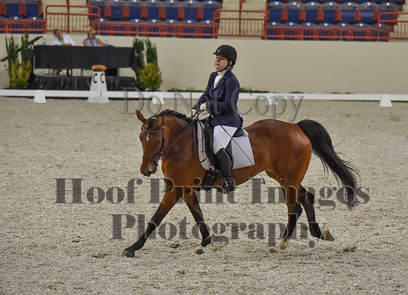 CWdressageI(8-20-16)0402