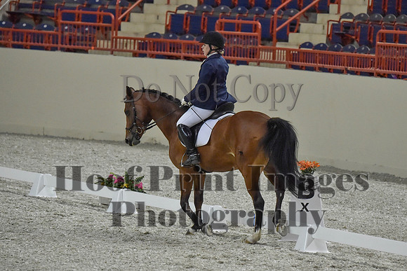 CWdressageI(8-20-16)0397