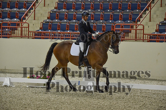 CWdressageI(8-20-16)0479