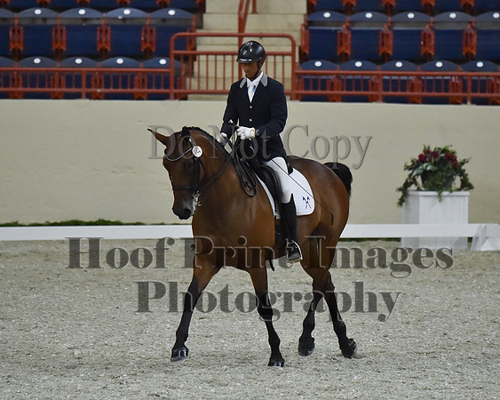 CWdressageII(8-21-16)2214