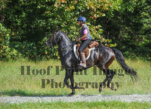 ChesapeakeCTR(9-20-14)0580