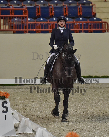 CWdressageII(8-21-16)0313