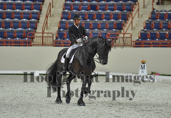 CWdressageI(8-20-16)1673