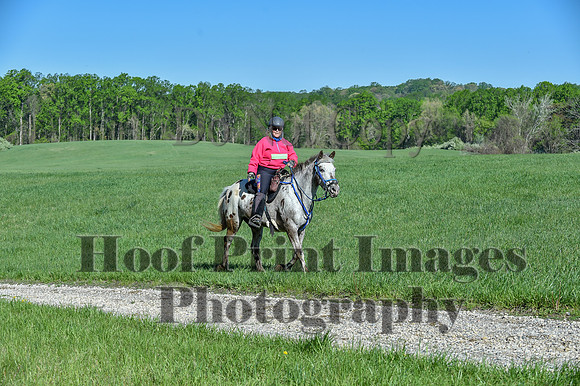 ChesapeakeSpring(4-27-25)0293