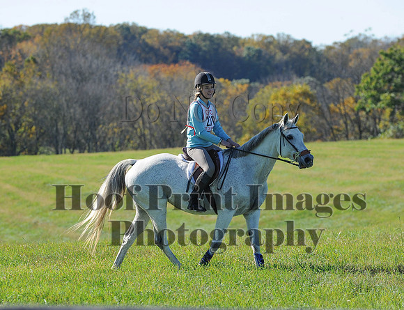 Cheshire(10-19-14)0468
