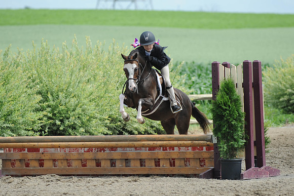 SC(6-28-14)SMPony0074
