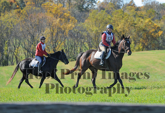 Cheshire(10-19-14)0186