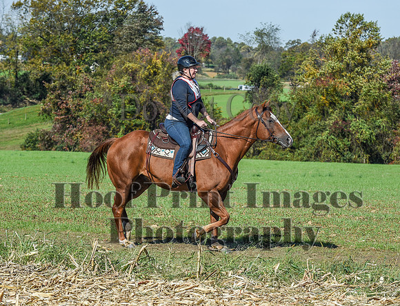 CheshirePC(10-18-20)0529