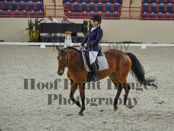 CWdressageI(8-20-16)0404