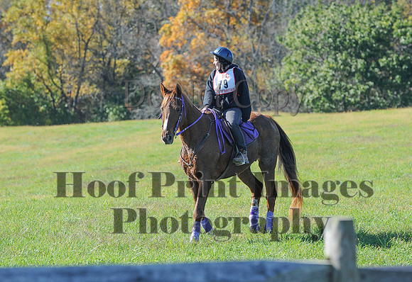 Cheshire(10-19-14)0271