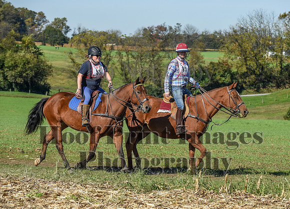 CheshirePC(10-18-20)0429