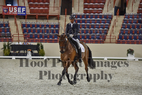 CWdressageI(8-20-16)1378
