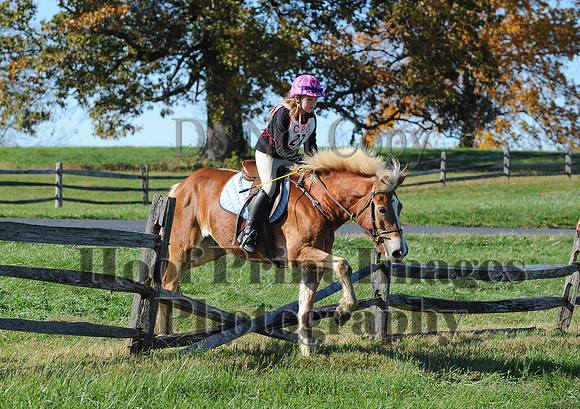 Cheshire(10-19-14)0390