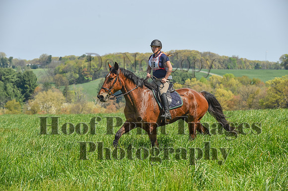 CheshireSpringPC1(4-28-24)0132