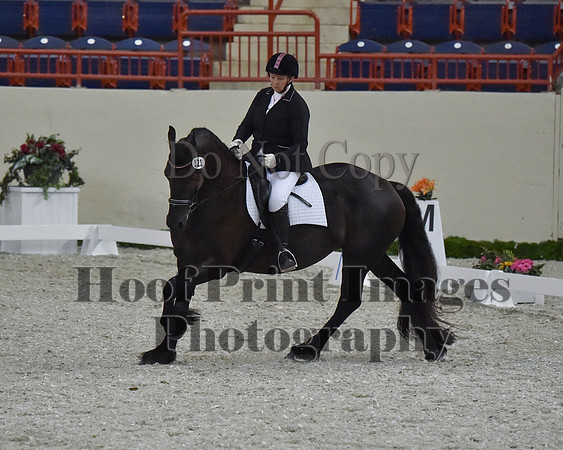 CWdressageII(8-21-16)2170