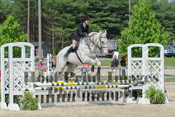 BRSa(5-17-14)0.8mJCl0045