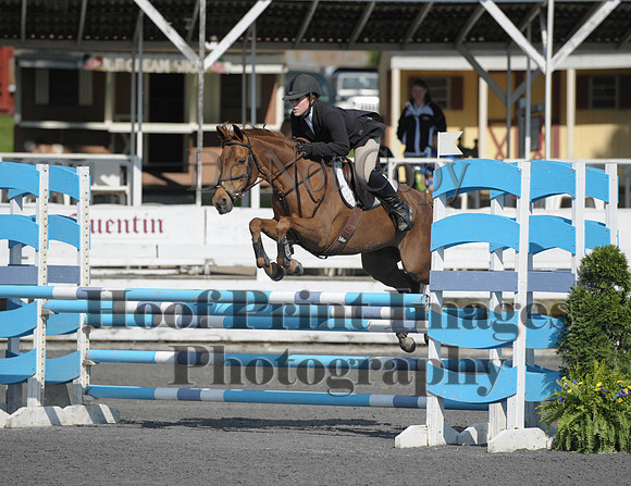 StCSu(5-12-13)PJmp0082
