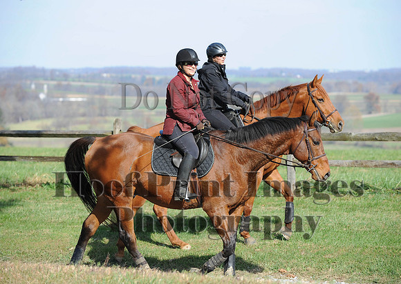 AndrewsBr(11-9-14)0241
