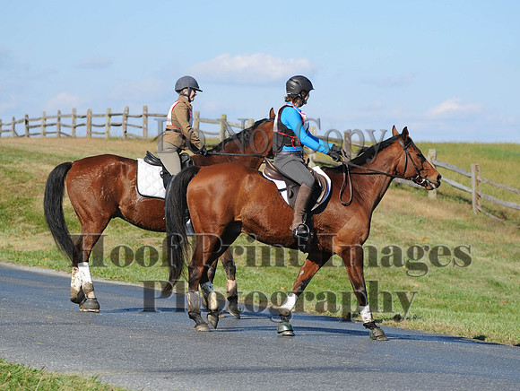 Cheshire(10-20-13)0728