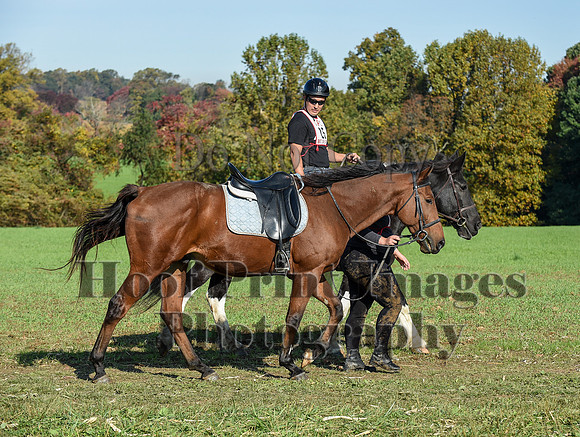 CheshirePC(10-18-20)0118