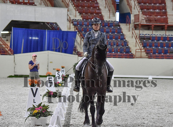 CWdressageI(8-20-16)1229