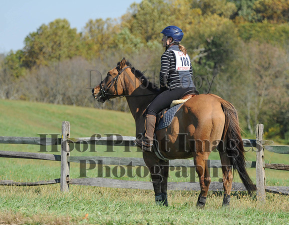 Cheshire(10-20-13)0112