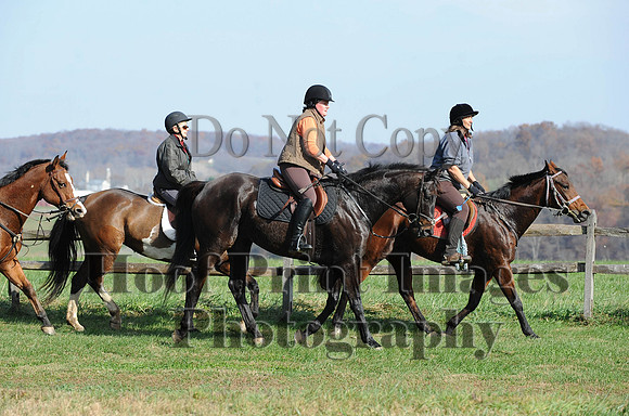 AndrewsBr(11-9-14)0186