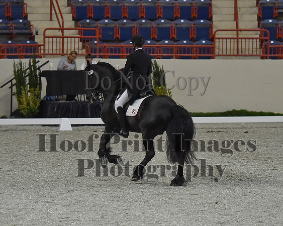 CWdressageII(8-21-16)0575