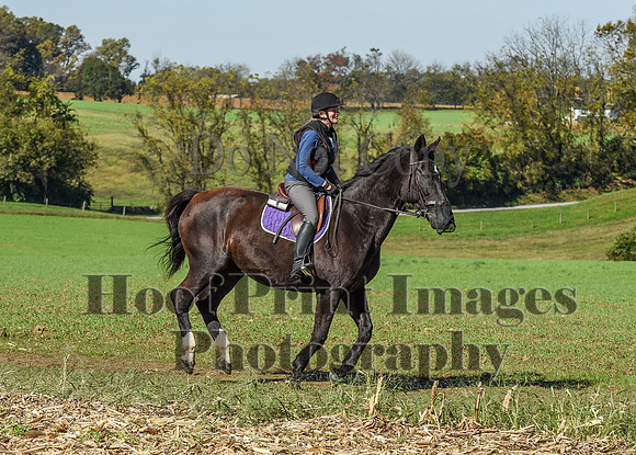 CheshirePC(10-18-20)0563