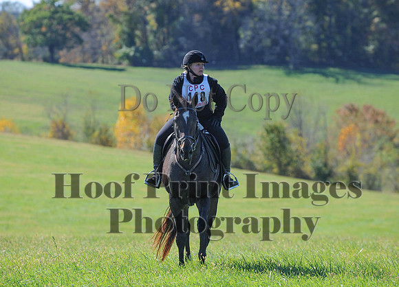 Cheshire(10-19-14)0093