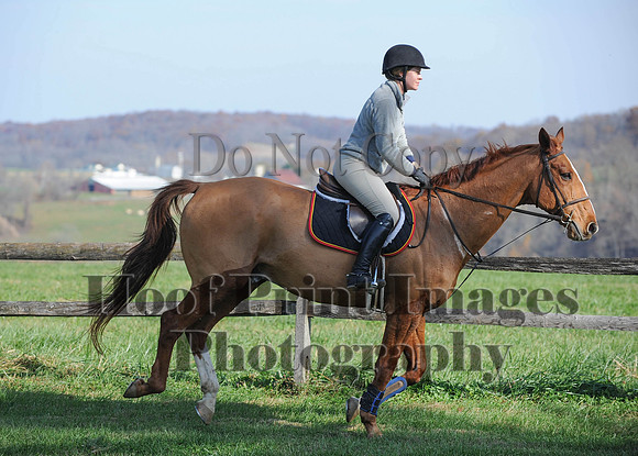 AndrewsBr(11-9-14)0028