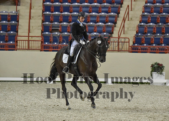 CWdressageI(8-20-16)0700