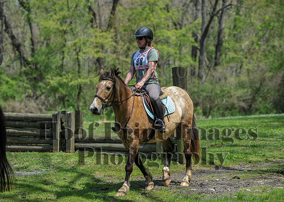 CheshireSpringPC2(4-28-24)0610