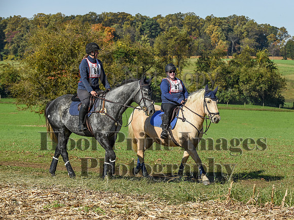 CheshirePC(10-18-20)0285