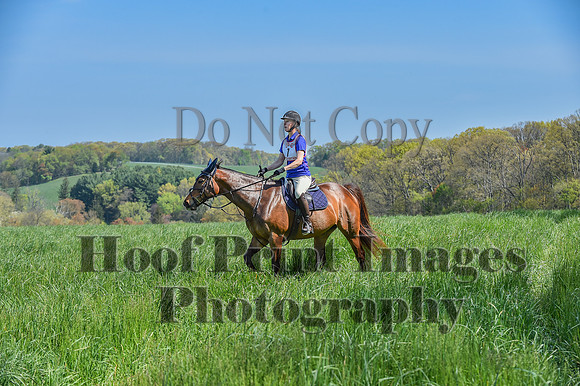 CheshireSpringPC1(4-28-24)0022