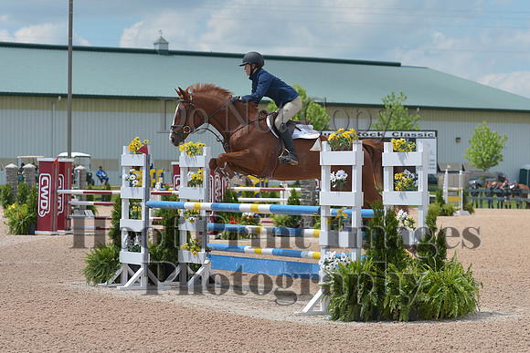 BRSa(5-17-14)HChAdJ0229