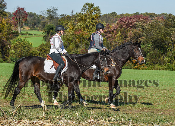 CheshirePC(10-18-20)0414
