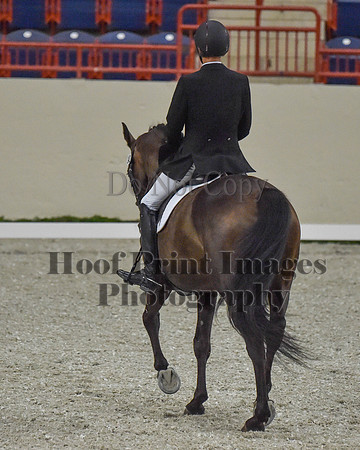 CWdressageII(8-21-16)0373