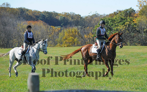 Cheshire(10-19-14)0252