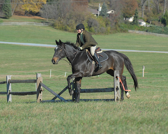 BHPC(11-15-15)0033