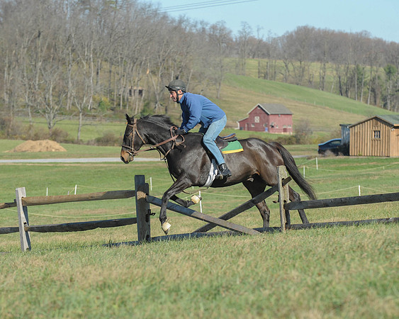 BHPC(11-15-15)0231