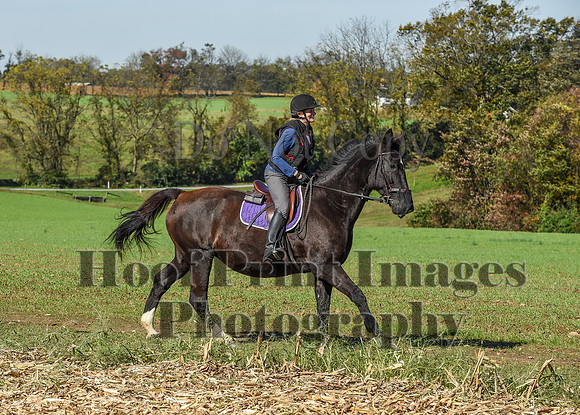 CheshirePC(10-18-20)0566