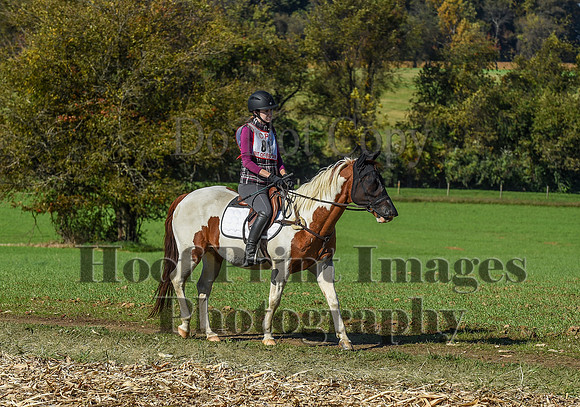 CheshirePC(10-18-20)0392